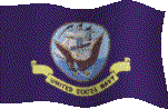 Navy Flag - USA