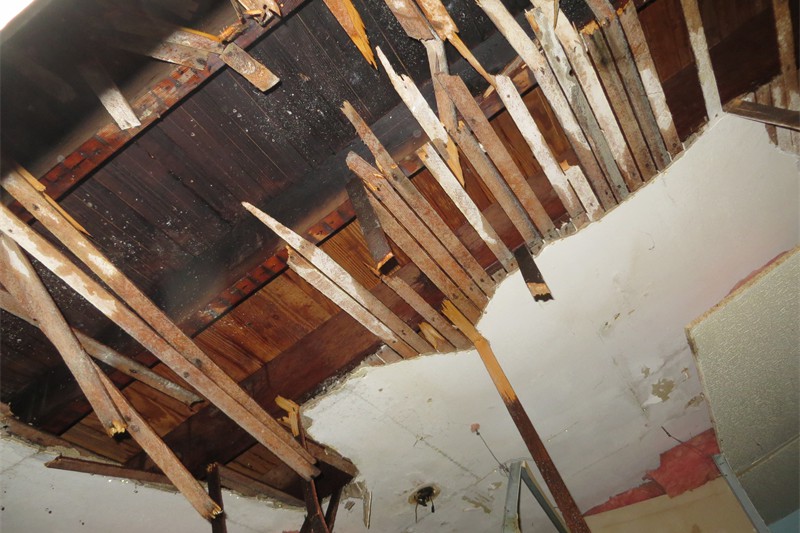 LFD 213 Rocklyn2 030116