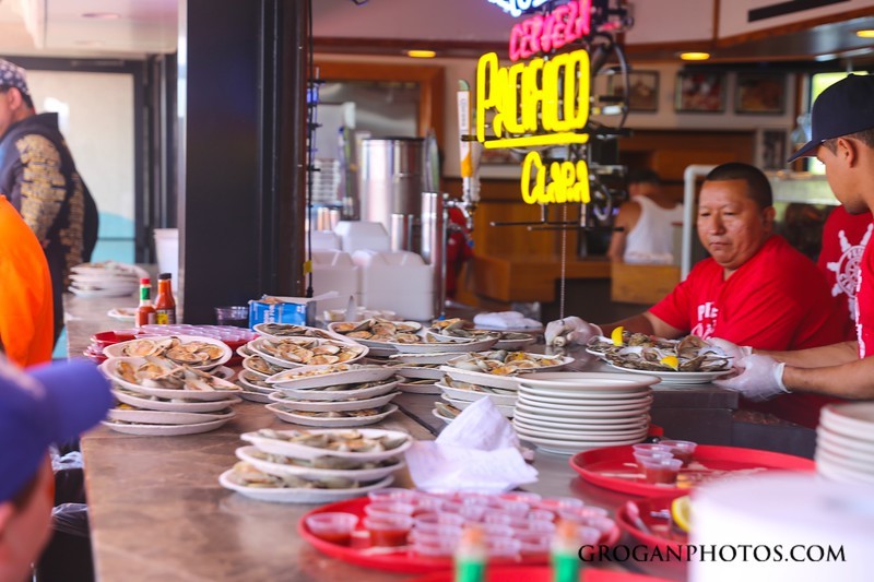 OWW clam eating 8b 071617